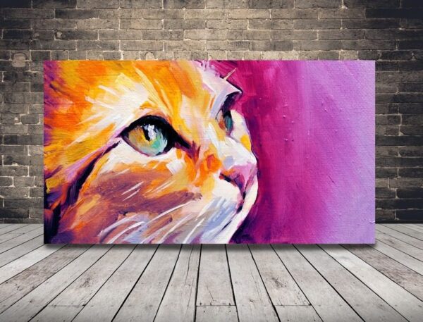 Une image d'un chat sur un fond rose