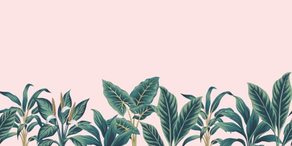Une image de feuilles tropicales – Image 2