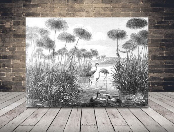 Image de lac noir et blanc