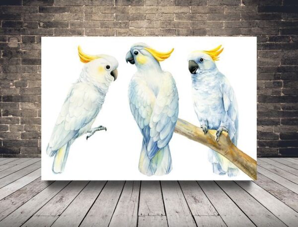 Une image de perroquets bleus