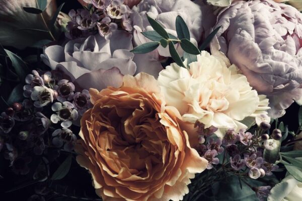 Image de fleurs de près – Image 2