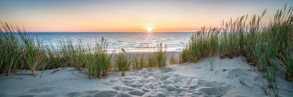 Une image d'une dune de sable – Image 2