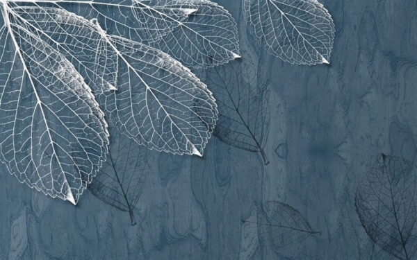 Une image de feuilles avec des nervures – Image 2