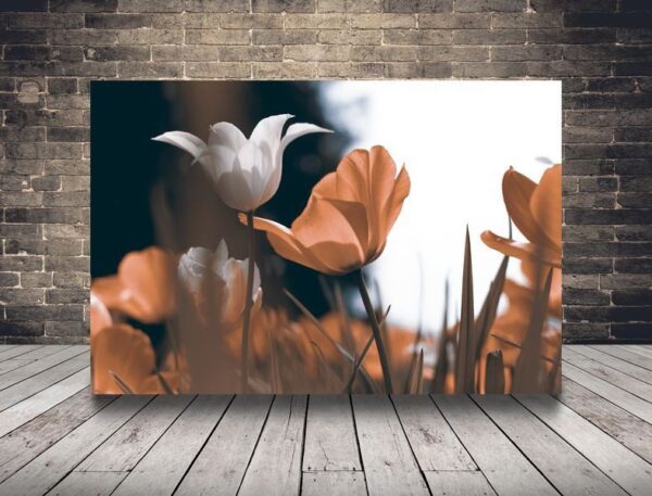 Une image de tulipes printanières