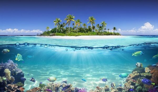 Une image d'une île tropicale – Image 2