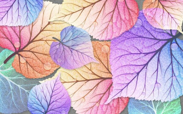 Image de feuilles colorées – Image 2