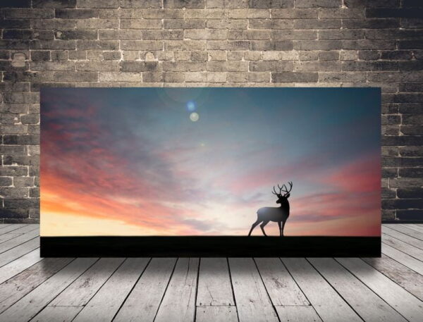 Image d'un cerf au coucher du soleil