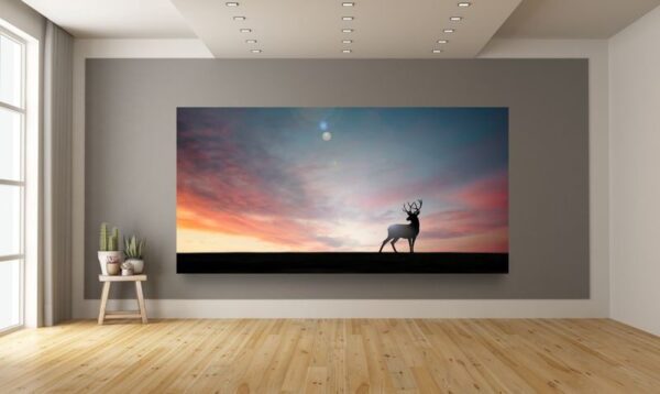 Image d'un cerf au coucher du soleil – Image 3