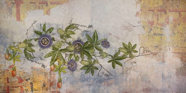 Une image d'une fleur de la passion – Image 2