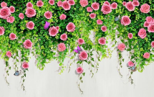 Une image d'une plante grimpante rose – Image 2