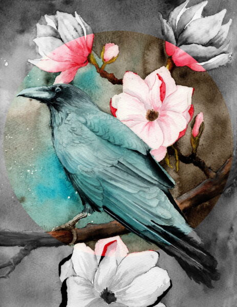Image d'oiseau illustrée – Image 2