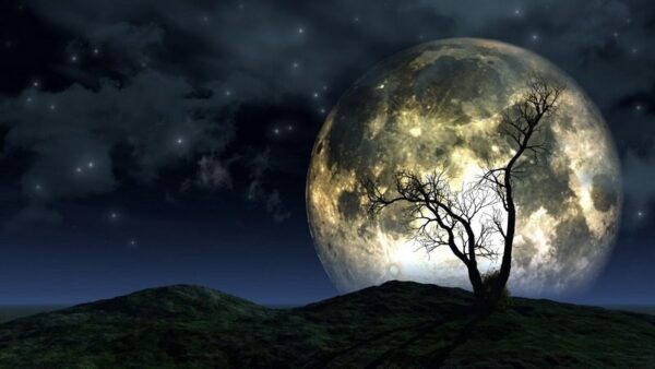 Une image d'un arbre sur un fond de lune – Image 2