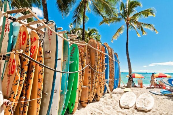 Une image de planches de surf – Image 2