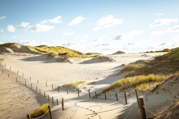 Une image de dunes de sable du désert – Image 2