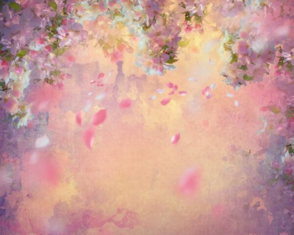 Image de cerisier de printemps – Image 2