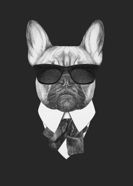Une image d'un chien dans une chemise – Image 2