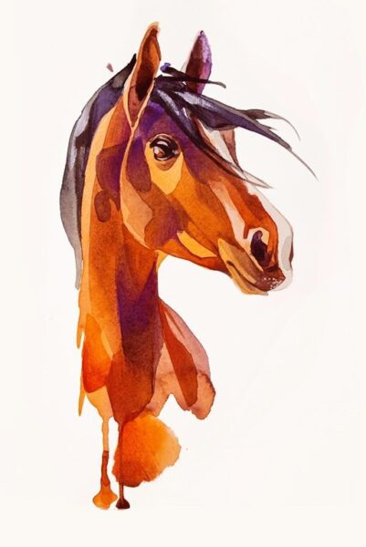Une image d'un portrait de cheval – Image 2
