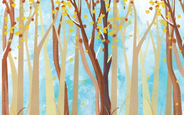 Image de la forêt des enfants – Image 2