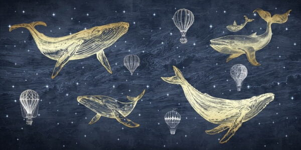 L'image des poissons et des ballons – Image 2