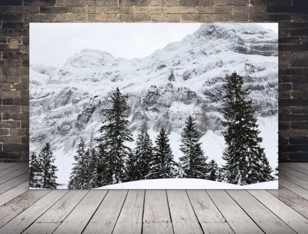 Image d'hiver dans les montagnes