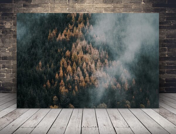 Une image d'une forêt brumeuse