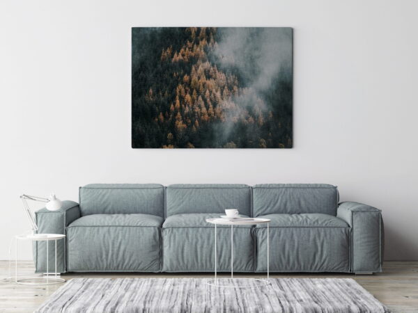 Une image d'une forêt brumeuse – Image 3