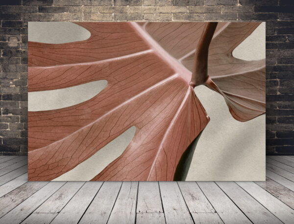 Une image d'une feuille sur la plage