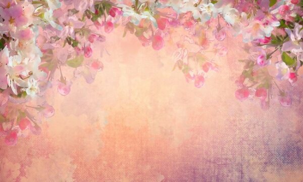 Une image de fleurs de cerisier – Image 2