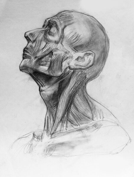 Une image d'un portrait d'homme – Image 2
