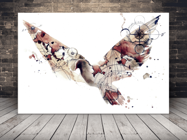 Image géographique d'un oiseau