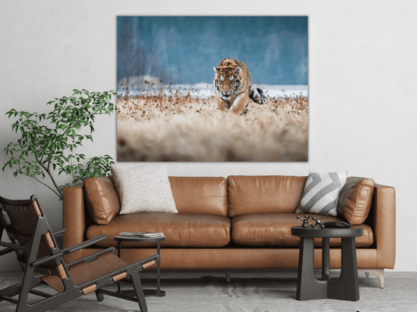 Image du tigre rampant – Image 3