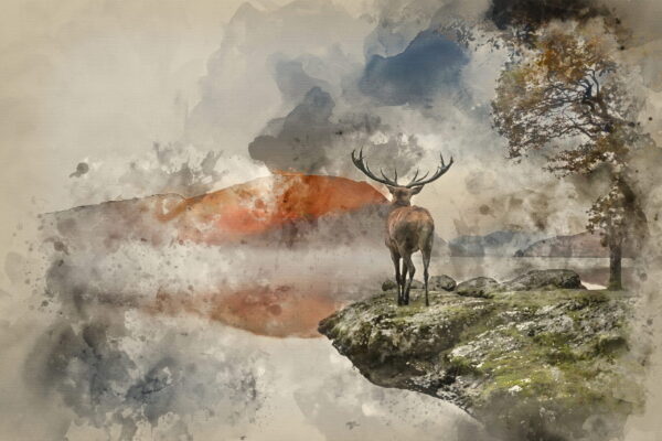 Une image d'un cerf et d'un lac – Image 2