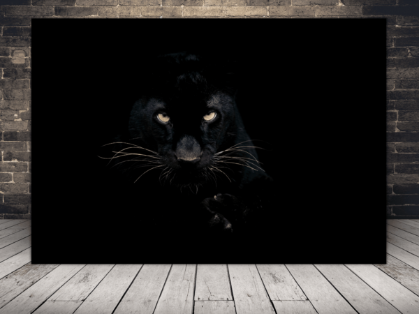 image panthère noire