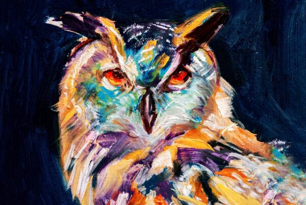 Une image du regard d'un hibou – Image 2