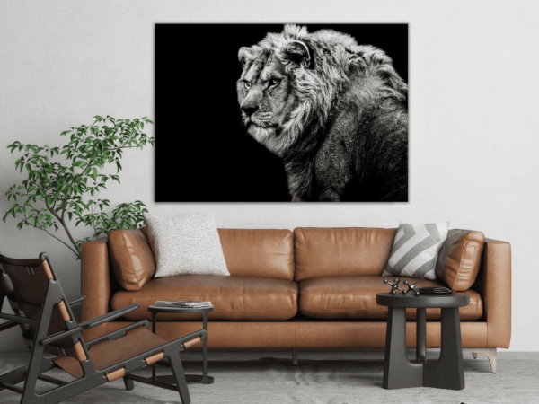 Image d'un lion blanc – Image 3