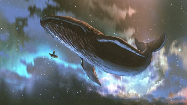 Une image d'une baleine volante – Image 2