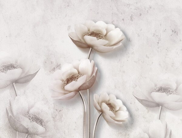 Image de fleurs blanches – Image 2