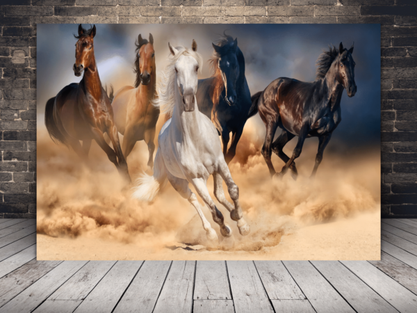 Image de chevaux qui courent