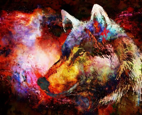 Image du regard mystérieux d'un loup – Image 2