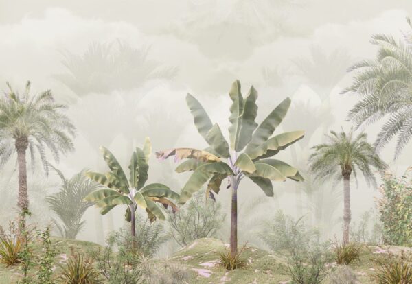 Papier Peint Bananiers Dans Le Brouillard