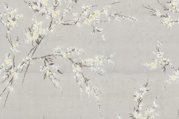 Papier Peint Fleurs Blanches De Printemps