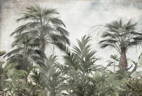 Papier Peint Vert Foncé dans la Jungle