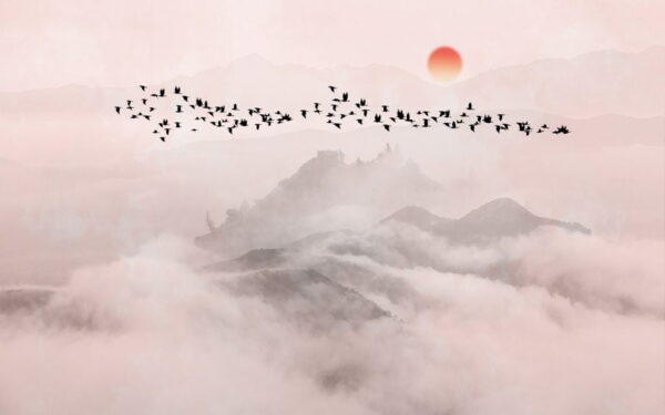 Papier Peint Oiseaux Sombres Survolant Des Montagnes