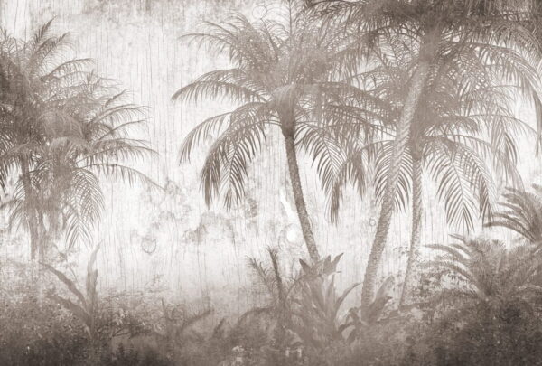 Papier Peint Pluie dans la jungle