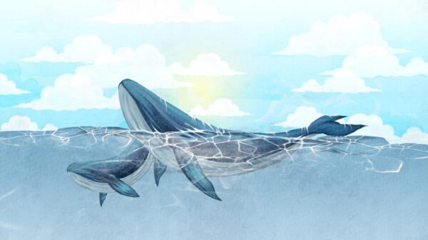 Papier Peint Deux Baleines Pour Bébé