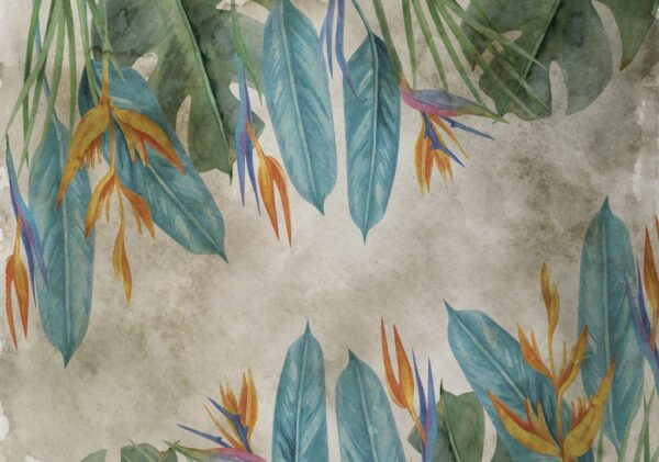 Paper Peint Couleurs de Strelitzia Flower