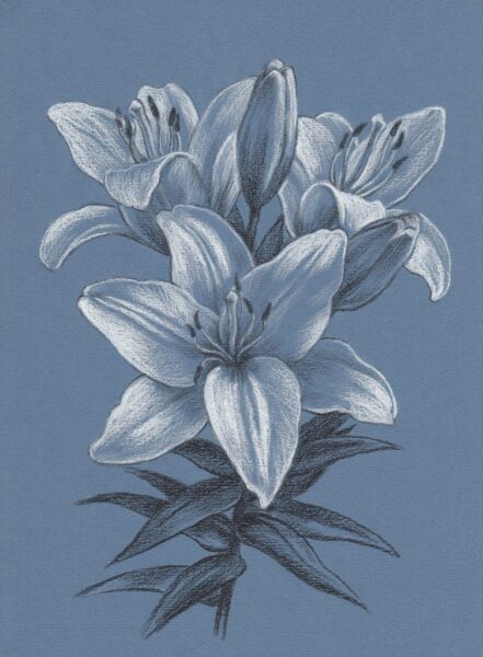 Papier Peint Fleur de Lys en Bleu
