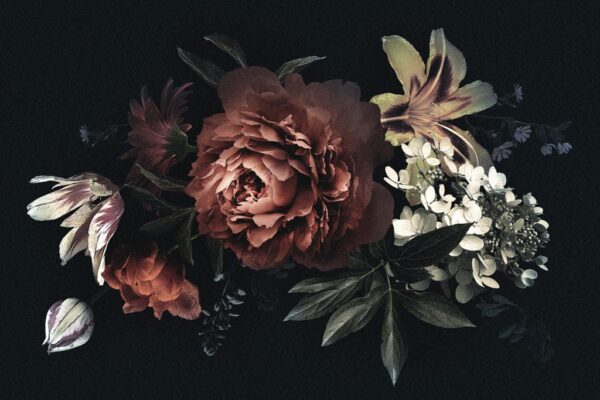 Papier Peint Fleurs Sur Fond Sombre