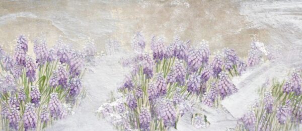 Papier Peint Prairie de jacinthes en fleurs