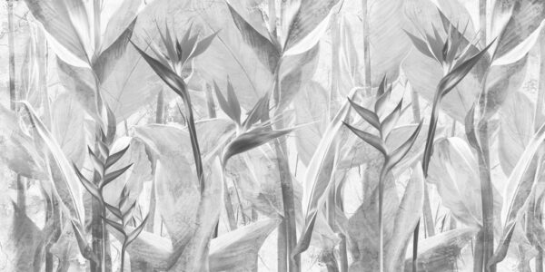 Papier Peint Fleurs Strelitzia Monochromes